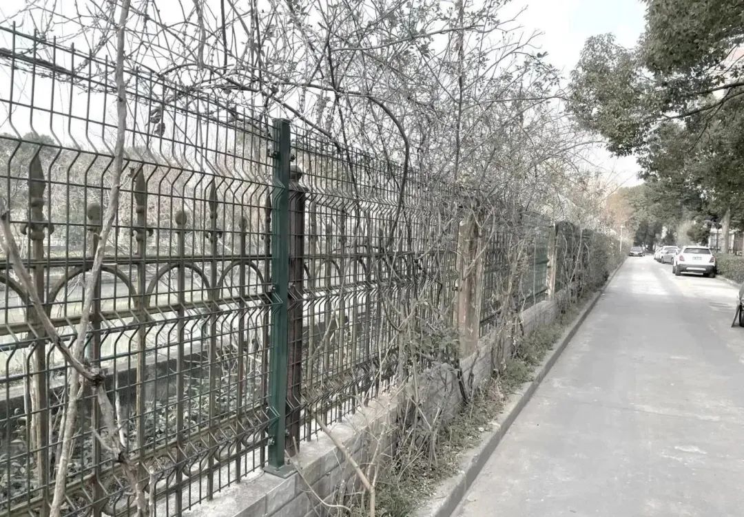 微信图片_20230620134142.jpg