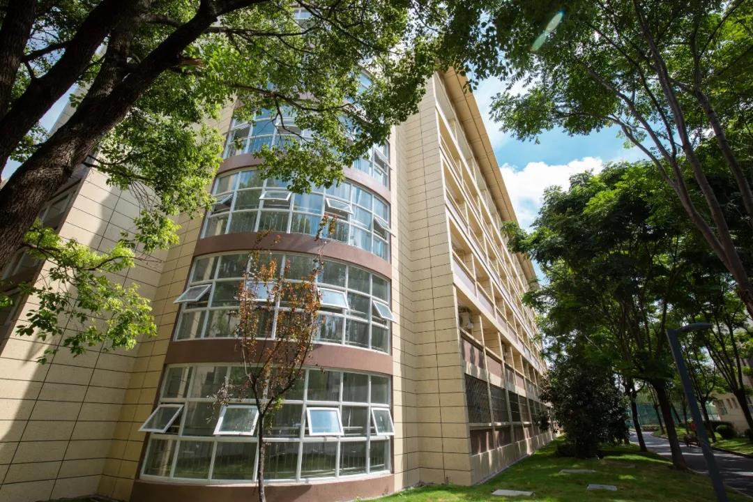 杨行中学修缮改造已如期完成,华二高中宝山校区将喜迎新生!