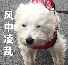 微信截图_20250724223514.jpg
