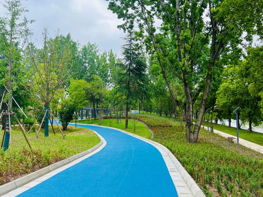 科技赋能带来常青公园游园新模式 武汉首座高质量有内涵的5G智慧公园将于年底开放-荆楚网-湖北日报网