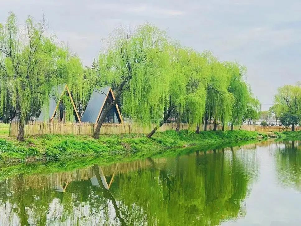 微信图片_20230522103431.jpg
